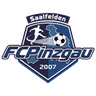 Pinzgau Saalfelden crest