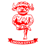 Lincoln City crest
