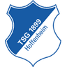 Hoffenheim crest
