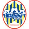 Montedio Yamagata crest