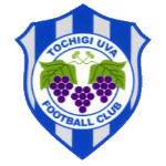 Logo Tochigi City FC