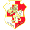 Naxxar Lions FC crest