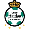 Santos Laguna crest