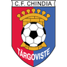 Chindia Târgovişte crest