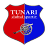 Tunari crest