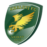 Al Khaleej crest