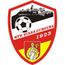 Stara Lubovna crest