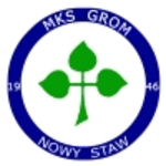 Grom Nowy Staw crest